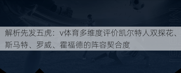 解析先发五虎:v体育多维度评价凯尔特人双探花、斯马特、罗威、霍福德的阵容契合度